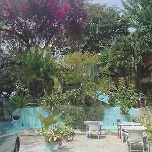 Pensionat Blue Mango Cottages, Castara